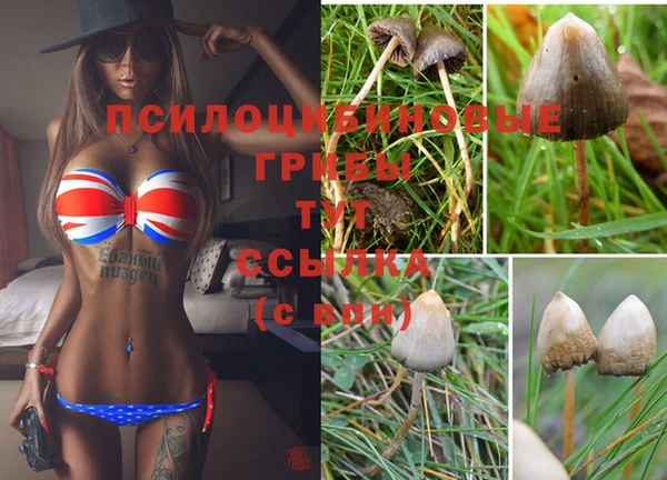 кокаин перу Беломорск